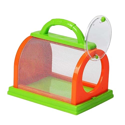 BESPORTBLE Insektenbeobachtungsbox Für Plastikinsektenschachtel Für Outdoor Und Wissenschaftliche Experimente Pädagogisches Für Kleine BESPORTBLE Insektenbeobachtungsbox Für Plastikinsektenschachtel Für Outdoor Und Wissenschaftliche Experimente Pädagogisches Für Kleine von BESPORTBLE