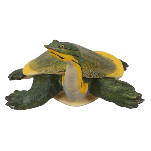 BESPORTBLE Kleine Schildkrötenfigur aus Realistisches Schildkrötenmodell für Dekoration Kinderzimmer Wohnzimmer und Garten Lebensechte Tierfigur Deko Element BESPORTBLE Kleine Schildkrötenfigur aus Realistisches Schildkrötenmodell für Dekoration Kinderzimmer Wohnzimmer und Garten Lebensechte Tierfigur Deko Element von BESPORTBLE