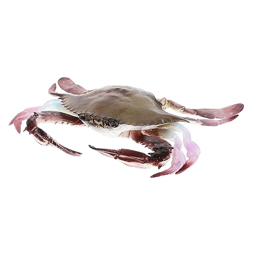 BESPORTBLE Krabbenfigur aus Realistische Meereslebewesen Dekoration Pädagogisches für Aquarien und Badespaß Krabbenmodell für Kreative Rollenspiele von BESPORTBLE