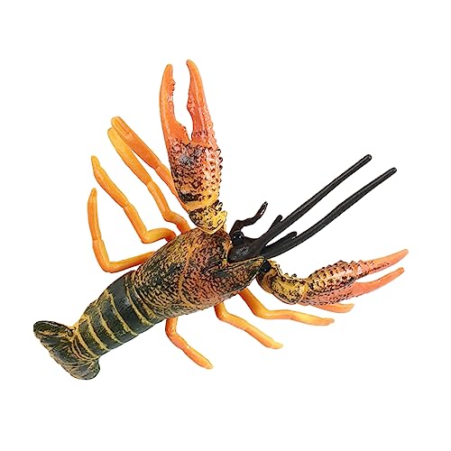 BESPORTBLE Kreatives Hummer Modell Für Kognitives Lernspielzeug Einzigartige Dekofigur Für Kinderzimmer Tier Modell Für Bildung Und Kleine BESPORTBLE Kreatives Hummer Modell Für Kognitives Lernspielzeug Einzigartige Dekofigur Für Kinderzimmer Tier Modell Für Bildung Und Kleine von BESPORTBLE