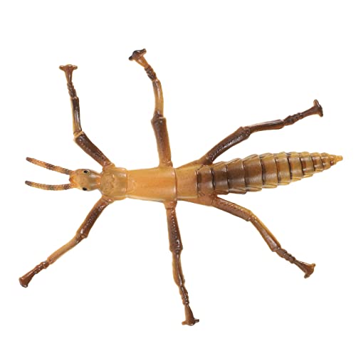 BESPORTBLE Kreatives Insektenmodellspielzeug Aus Kunststoff Für Realistischer Bambooschäfer Lernspielzeug Für Bildung BESPORTBLE Kreatives Insektenmodellspielzeug Aus Kunststoff Für Realistischer Bambooschäfer Lernspielzeug Für Bildung von BESPORTBLE