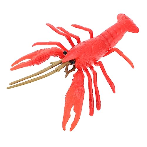 BESPORTBLE Künstliches Hummer Realistisches Modell Für Dekoration Und Lernspielzeug Rotes Hummer Design Für Kreative Spiele Und Frühkindliche Bildung BESPORTBLE Künstliches Hummer Realistisches Modell Für Dekoration Und Lernspielzeug Rotes Hummer Design Für Kreative Spiele Und Frühkindliche Bildung von BESPORTBLE