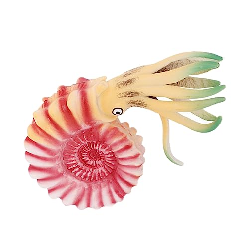 BESPORTBLE Kunststoff Nautilus Modell Simuliertes Meerestier Für Pädagogisches Kreativität Und Farbkenntnis Und Langlebig Für Lernspiele von BESPORTBLE