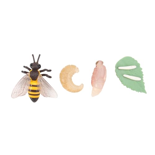 BESPORTBLE Lebensechte Bienen Lebenszyklus Modell Detailgetreues Insektenspielzeug Pädagogisches Tierdisplay für Naturgetreue Wachstumsphasen Darstellung Dekoratives Lernspielzeug von BESPORTBLE