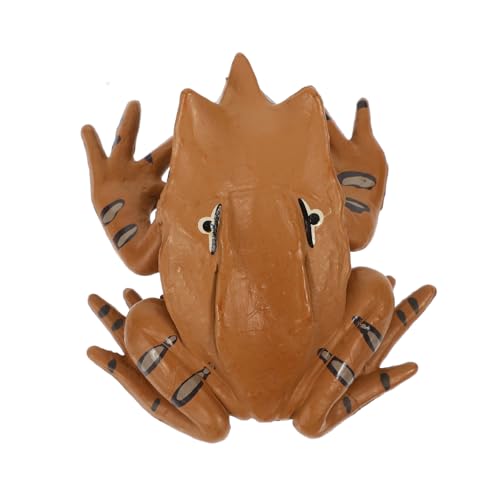 BESPORTBLE Lebensechte Froschfigur Aus Kunststoff Realistisches Frösche Modell Für Lernspielzeug Kognitiven Fähigkeiten BESPORTBLE Lebensechte Froschfigur Aus Kunststoff Realistisches Frösche Modell Für Lernspielzeug Kognitiven Fähigkeiten von BESPORTBLE