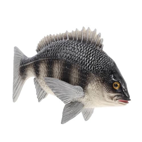 BESPORTBLE Lebensnahes Fischmodell Imitation Bream Figur Für Pädagogisches Kognitiven Fähigkeiten Dekorative Tier Darstellung BESPORTBLE Lebensnahes Fischmodell Imitation Bream Figur Für Pädagogisches Kognitiven Fähigkeiten Dekorative Tier Darstellung von BESPORTBLE