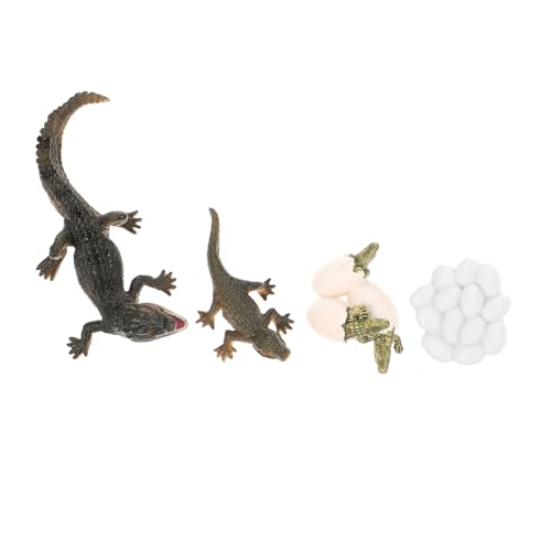 BESPORTBLE Lebenszyklus Krokodil Modell Pädagogisch für Naturerfahrung Wachstum Lernspielzeug Geschenk von BESPORTBLE