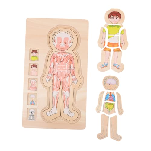 BESPORTBLE Lernspielzeug Puzzle Körperstruktur Mehrschichtiges Holzspielzeug Bunte Cartoon Motive Fördert Kreativität Motorische Fähigkeiten für Jungen Mädchen Montessori Geeignet von BESPORTBLE