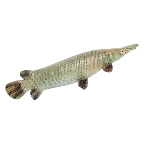 BESPORTBLE Lifelike Atractosteus Spatula Fisch aus Kunststoff Realistische Meeresfigur für Sicheres Lernspielzeug Dekorative Figur für Aquarien und Partys für Fotografie und Heimdekoration von BESPORTBLE