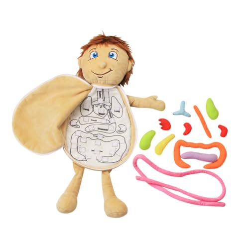 BESPORTBLE Menschlicher Körper Plüsch Organ Puzzle Für Pädagogisches Montessori Lernspielzeug Abnehmbar Für Früherziehung Und Anatomieunterricht Ab Jahren von BESPORTBLE