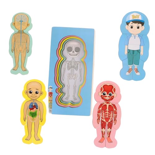 BESPORTBLE Menschliches Körper Anatomie -Puzzle Für Kleinkinder Holzpuzzle Spielzeug Early Stamm Montessori Spielzeug Für Jungen Mädchen BESPORTBLE Menschliches Körper Anatomie -Puzzle Für Kleinkinder Holzpuzzle Spielzeug Early Stamm Montessori Spielzeug Für Jungen Mädchen von BESPORTBLE