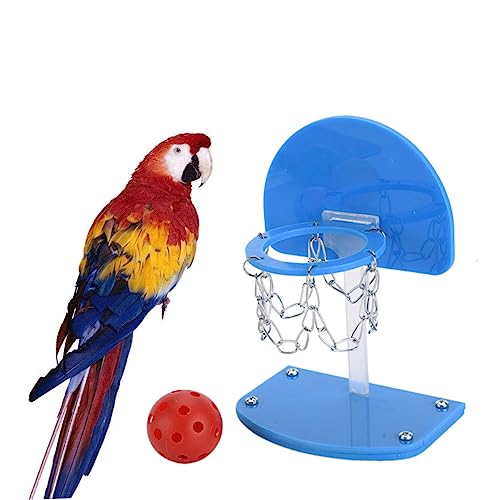 BESPORTBLE Mini Basketball Set für Papageien Lernspielzeug Basketballspiel für Tischspiele Interaktives Spaßspielzeug Kreativität und Geschicklichkeit Blau BESPORTBLE Mini Basketball Set für Papageien Lernspielzeug Basketballspiel für Tischspiele Interaktives Spaßspielzeug Kreativität und Geschicklichkeit Blau von BESPORTBLE