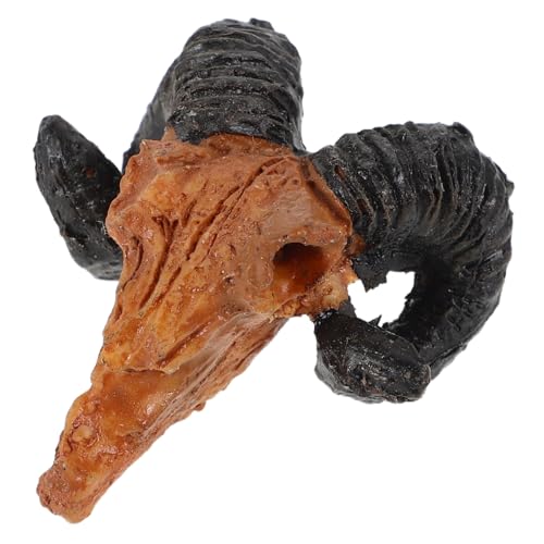 BESPORTBLE Mini Harz Ziegenschädelköpfe Miniatur Tierschädel Figuren Mini Halloween Schädel Figur Für Handwerk Halloween Weihnachtsmikro Landschaft BESPORTBLE Mini Harz Ziegenschädelköpfe Miniatur Tierschädel Figuren Mini Halloween Schädel Figur Für Handwerk Halloween Weihnachtsmikro Landschaft von BESPORTBLE