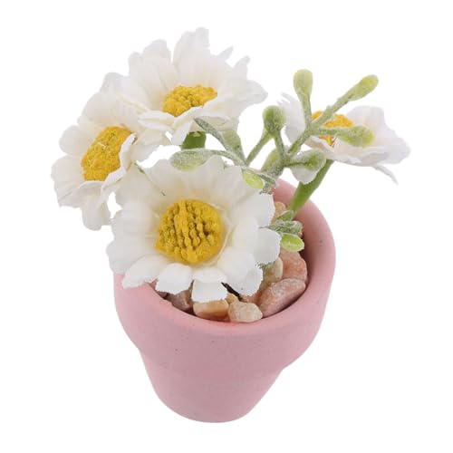 BESPORTBLE Miniatur Dollhaus Pflanzen und Blumen Künstliche Daisy Blumen für Dekoration im Puppenhaus Realistische Mini Pflanzen für Schreibtisch und Bücherregal als Fotodeko BESPORTBLE Miniatur Dollhaus Pflanzen und Blumen Künstliche Daisy Blumen für Dekoration im Puppenhaus Realistische Mini Pflanzen für Schreibtisch und Bücherregal als Fotodeko von BESPORTBLE
