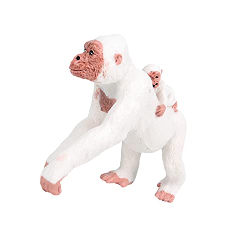 BESPORTBLE Modellspielzeug Realistisches Affenmodell Pädagogisches Kinderspielzeug Tierfigur Tiererkennung Dekoration oder Sammlerstück von BESPORTBLE