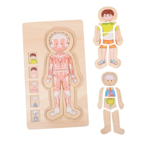 BESPORTBLE Multilayered Holzpuzzle Körperstruktur Lernspielzeug Pädagogisch Mehrschichtig Cartoon Puzzle Jungen Mädchen Holzspielzeug von BESPORTBLE