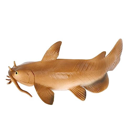 BESPORTBLE Nachahmungswelsmodell aus Realistisches Fischspielzeug für Lernspielzeug für Naturwissenschaften Perfektes Fantasie von BESPORTBLE