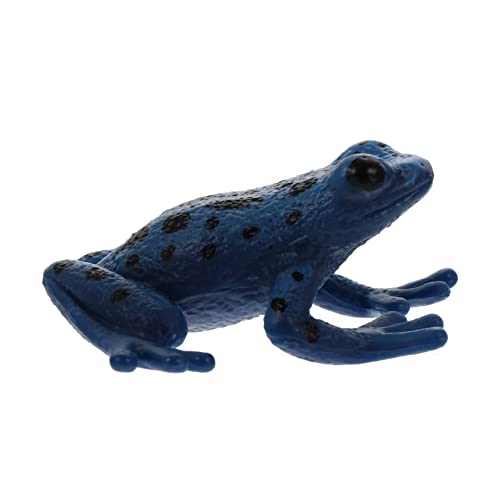 BESPORTBLE Pädagogisches Frosch Modell aus Realistische Simulation für Lernspielzeug Dekoration und Sammelobjekt Fördert Verständnis BESPORTBLE Pädagogisches Frosch Modell aus Realistische Simulation für Lernspielzeug Dekoration und Sammelobjekt Fördert Verständnis von BESPORTBLE