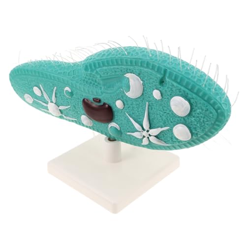 BESPORTBLE Paramecium Modell mit Stabilem Ständer Realistische Protozoen Darstellung Vielseitiges Einzeller Biologiemodell für Schulbiologieunterricht für Labor und Klassenzimmer BESPORTBLE Paramecium Modell mit Stabilem Ständer Realistische Protozoen Darstellung Vielseitiges Einzeller Biologiemodell für Schulbiologieunterricht für Labor und Klassenzimmer von BESPORTBLE