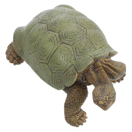 BESPORTBLE Realistische Galápagos Riesenschildkröte Figur Detailgetreues Tiermodell Langlebiges Kinderspielzeug und Pädagogische Dekoration für Garten Zimmer von BESPORTBLE