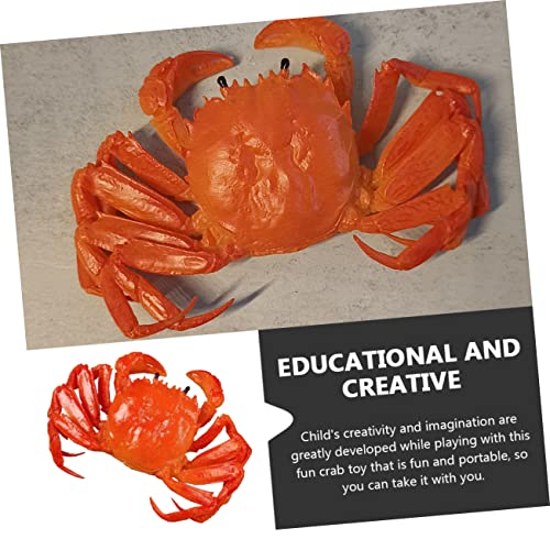 BESPORTBLE Realistische Krabbenfigur aus Robustem Geruchsneutralem PVC Detailgetreues Lernspielzeug für Pädagogisches Dekorationsspielzeug zur Kognitiver Fähigkeiten für Kleinkinder und von BESPORTBLE