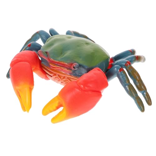 BESPORTBLE Realistisches Krabbenmodell aus Kreatives Lernspielzeug für Detailgetreue Meeresdeko für Aquarium und Raumgestaltung Sichere Simulation Meerestier Figur von BESPORTBLE