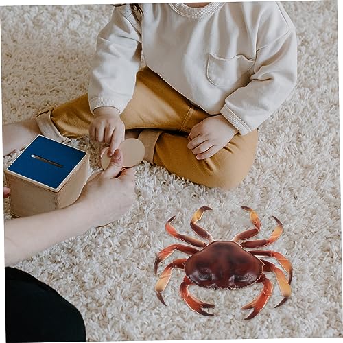 BESPORTBLE Realistisches Krabbenmodell aus Kunststoff Detailgetreue Kleine Krabbenfigur Pädagogisches Meeres Tier zur Dekoration und Lernförderung Lebensecht für Garten BESPORTBLE Realistisches Krabbenmodell aus Kunststoff Detailgetreue Kleine Krabbenfigur Pädagogisches Meeres Tier zur Dekoration und Lernförderung Lebensecht für Garten von BESPORTBLE