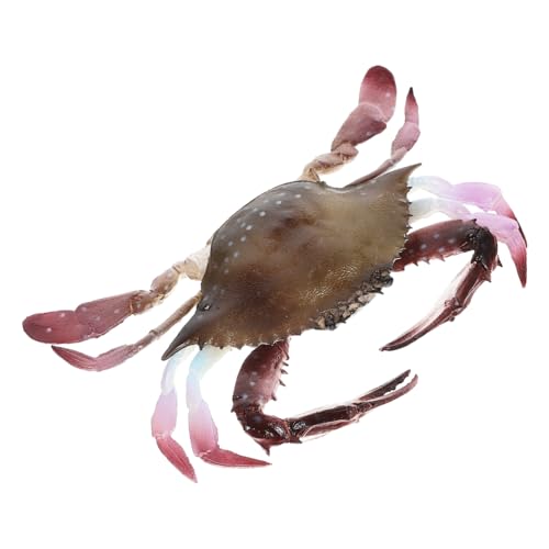 BESPORTBLE Realistisches Krabbenmodell aus PVC Kompaktes Meerestier Detailgetreue Dekoration für Aquarium und Lernspielzeug für Sammler von BESPORTBLE