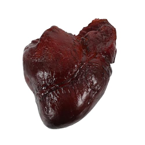BESPORTBLE Realistisches Schweineherz Modell Lebensnah Detailgetreu Künstlich als Food Prop für Restaurant Dekoration Fotografie Küchen Display Kreative Deko BESPORTBLE Realistisches Schweineherz Modell Lebensnah Detailgetreu Künstlich als Food Prop für Restaurant Dekoration Fotografie Küchen Display Kreative Deko von BESPORTBLE
