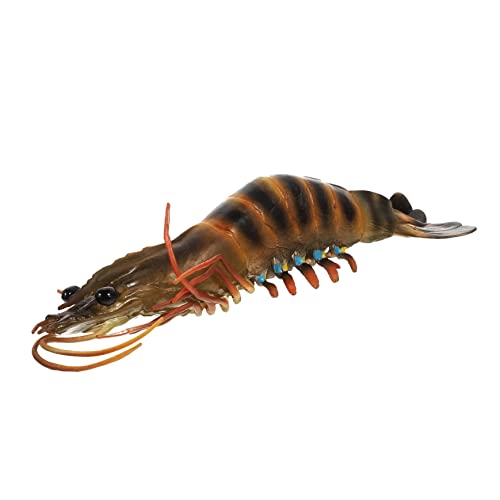BESPORTBLE Realistisches Shrimp Für Lernspielzeug Aus Kunststoff Für Meerestiere Für Alter Von Jahren Dekoratives Für Haushalt BESPORTBLE Realistisches Shrimp Für Lernspielzeug Aus Kunststoff Für Meerestiere Für Alter Von Jahren Dekoratives Für Haushalt von BESPORTBLE