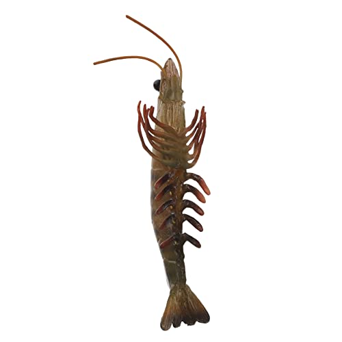 BESPORTBLE Realistisches Shrimps aus Kunststoff Lustiges Lernspielzeug für Accessoire für Spielgruppen und Bildung von BESPORTBLE