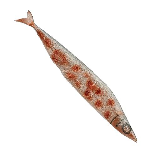 BESPORTBLE Saucenmodell Künstlicher Fisch Kleiner Plastikfisch Künstliche Lebensmittel Requisiten Fischmodell Saury Schmuck Simulation Meeresfrüchtemodelle Angelmodell Display Fisch von BESPORTBLE