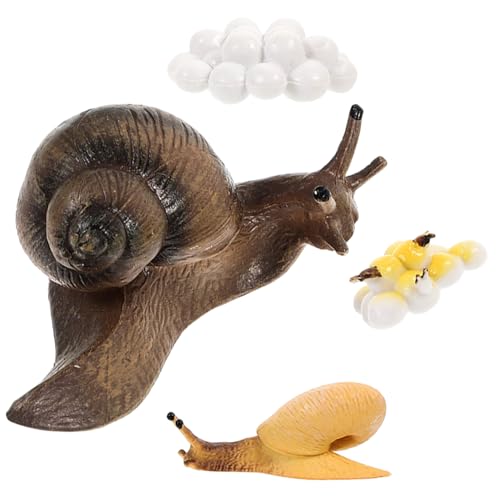 BESPORTBLE Schneckenwachstumsmodellen für Lehrspielzeug zur Simulation des Lebenszyklus von Schnecken Lernspielzeug für Naturinteressierte von BESPORTBLE