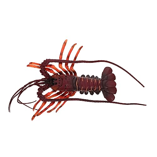 BESPORTBLE Hummermodell Dekoration für Kinder Lebensechtes Hummer Spielzeug Künstliches Hummer Desktop Ornament für Lernspielzeug und Party Dekoration von BESPORTBLE