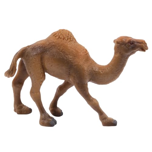 BESPORTBLE Simulation Kamel Figur Langlebig Pädagogisch Realistisches Wildtiermodell Schreibtisch Dekoration für Junge Mädchen und Kamel Enthusiasten BESPORTBLE Simulation Kamel Figur Langlebig Pädagogisch Realistisches Wildtiermodell Schreibtisch Dekoration für Junge Mädchen und Kamel Enthusiasten von BESPORTBLE