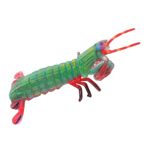 BESPORTBLE Simulation Mantis Shrimp Modell Realistische Meerestier Figur für Kognitives Meeresbewusstsein und Kreativität als Dekoration BESPORTBLE Simulation Mantis Shrimp Modell Realistische Meerestier Figur für Kognitives Meeresbewusstsein und Kreativität als Dekoration von BESPORTBLE