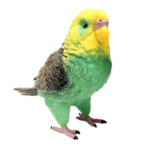 BESPORTBLE Simulation Papagei Modell aus Lebensechte Dekorative Figur für Pädagogisches und Stilvolle Desktop Verzierung BESPORTBLE Simulation Papagei Modell aus Lebensechte Dekorative Figur für Pädagogisches und Stilvolle Desktop Verzierung von BESPORTBLE
