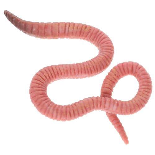 BESPORTBLE Simulation Regenwurm Modellspielzeug Künstliches Tiermodell für Robustes Sicheres für Lernzwecke Gartendekoration Dekorative Figur BESPORTBLE Simulation Regenwurm Modellspielzeug Künstliches Tiermodell für Robustes Sicheres für Lernzwecke Gartendekoration Dekorative Figur von BESPORTBLE