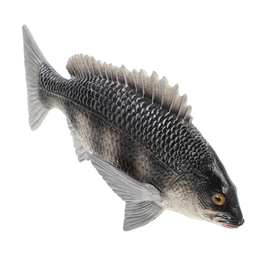 BESPORTBLE Simuliertes Fischmodell aus Lebensechte Dekoration für Pädagogisches für Kreatives Lernen und Fotoaufnahmen für Kleine Meeresliebhaber von BESPORTBLE