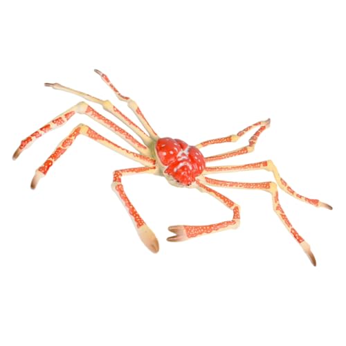 BESPORTBLE Simuliertes Krabbenmodell Lernspielzeug Meereslebewesen Ornamente Pädagogisches Plastikspielzeug Heimdekoration Lebensechte Farbige Gestaltung BESPORTBLE Simuliertes Krabbenmodell Lernspielzeug Meereslebewesen Ornamente Pädagogisches Plastikspielzeug Heimdekoration Lebensechte Farbige Gestaltung von BESPORTBLE