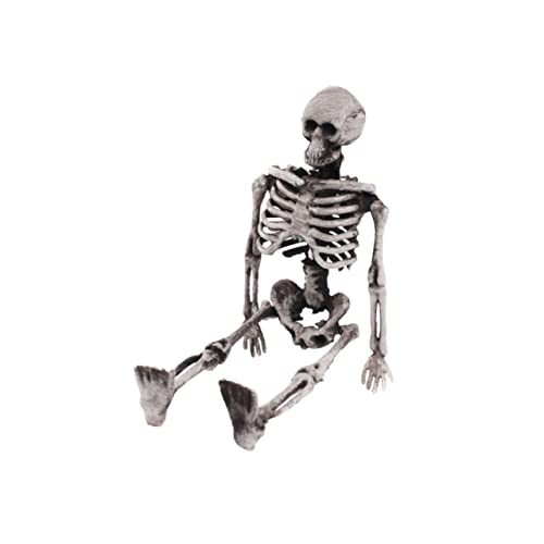 BESPORTBLE Skelett Modell Realistisches Halloween Dekoratives Skelett Für Partys Und Grusel Events Kleines Skelett Für Kreative Halloween Deko Und Scherze von BESPORTBLE