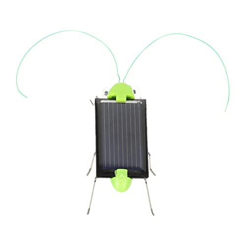 BESPORTBLE Solarbetriebene Insekten für Realistisches für Naturwissenschaftliche Experimente und Bildung für Junge und Naturforscher von BESPORTBLE