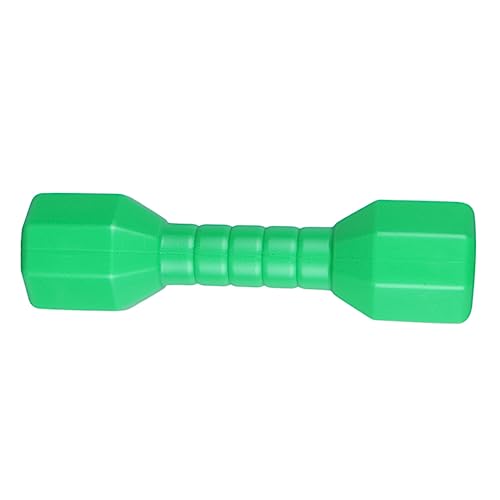 BESPORTBLE Spielzeug Für Draußen Lernspielzeug Für Kinder 4 Stück Hanteln Hantelscheiben Spielzeug Kind Draussen Kleine Hantel Puzzle-Spielzeug Spielzeug Für Kinder von BESPORTBLE