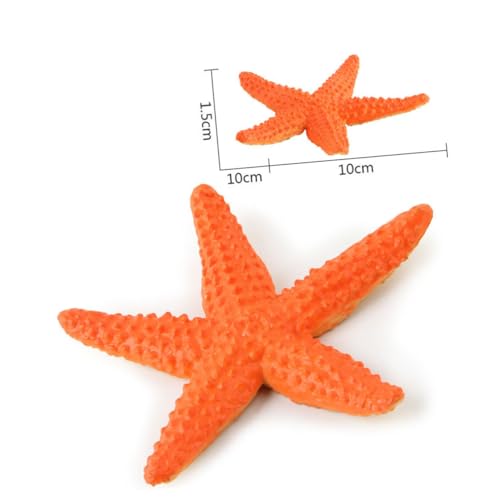 BESPORTBLE Teiliges Realistische Meerestiere PVC Figuren Stabile Organismus Modelle für Pädagogisch Langlebig Geschenkidee für Geburtstag und Partydekoration Zufällige Farbe Zufällige Farbe BESPORTBLE Teiliges Realistische Meerestiere PVC Figuren Stabile Organismus Modelle für Pädagogisch Langlebig Geschenkidee für Geburtstag und Partydekoration Zufällige Farbe Zufällige Farbe von BESPORTBLE