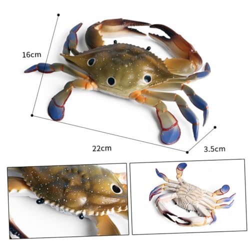 BESPORTBLE Tiermodell Dreipunkt krabbe Dekoration Realistische Meeresornament Figur Lebensechtes Design Pädagogisches Requisit für Fotoaccessoire Geschenkidee für Freunde und Kollegen BESPORTBLE Tiermodell Dreipunkt krabbe Dekoration Realistische Meeresornament Figur Lebensechtes Design Pädagogisches Requisit für Fotoaccessoire Geschenkidee für Freunde und Kollegen von BESPORTBLE