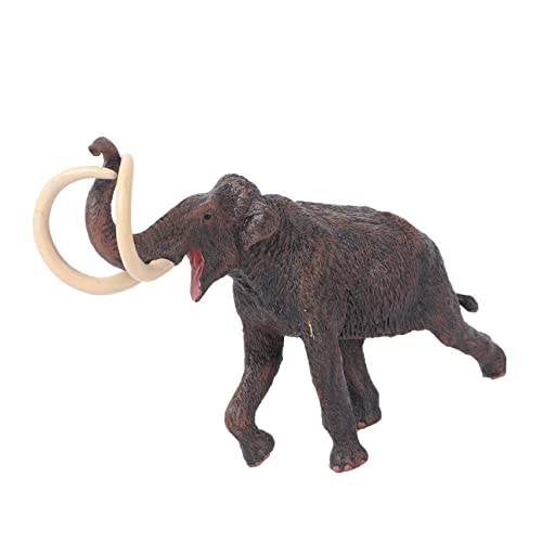 BESPORTBLE Tiermodell Figur Pädagogisch Realistisch Kreativ Fördernd Lernspielzeug für Jungen und Mädchen Geeignet als Dekoration und Lehrmittel BESPORTBLE Tiermodell Figur Pädagogisch Realistisch Kreativ Fördernd Lernspielzeug für Jungen und Mädchen Geeignet als Dekoration und Lehrmittel von BESPORTBLE