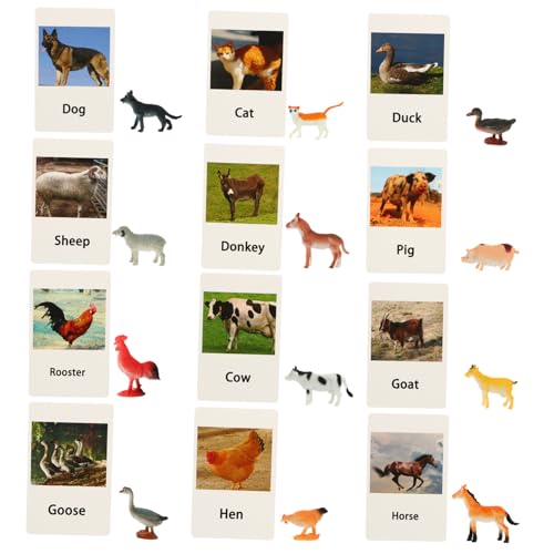 BESPORTBLE Tiermodellkarten mit Farbenfrohen Lebendigen Figuren und Beidseitig Bedruckten Lernkarten Interaktives Kognitives zur Frühkindlichen Kompakt für Eltern Junge Mädchen Spiel BESPORTBLE Tiermodellkarten mit Farbenfrohen Lebendigen Figuren und Beidseitig Bedruckten Lernkarten Interaktives Kognitives zur Frühkindlichen Kompakt für Eltern Junge Mädchen Spiel von BESPORTBLE