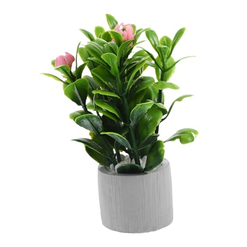 BESPORTBLE Topfpflanzen Für Puppenhaus Dekoration Künstliche Bonsai Pflanze Im Kleinen Perfektes Accessoire Für Fensterbank Und Vielfältig Einsetzbar Langlebiges BESPORTBLE Topfpflanzen Für Puppenhaus Dekoration Künstliche Bonsai Pflanze Im Kleinen Perfektes Accessoire Für Fensterbank Und Vielfältig Einsetzbar Langlebiges von BESPORTBLE