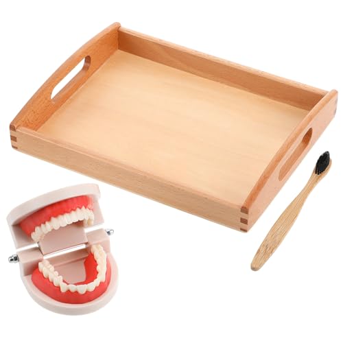 BESPORTBLE Zahnpflege aus Buchenholz Pädagogisches Lernspielzeug zur Guter Gewohnheiten Intelligentes Holzspielzeug für Zahnbürsten als Zufällige Farbe von BESPORTBLE