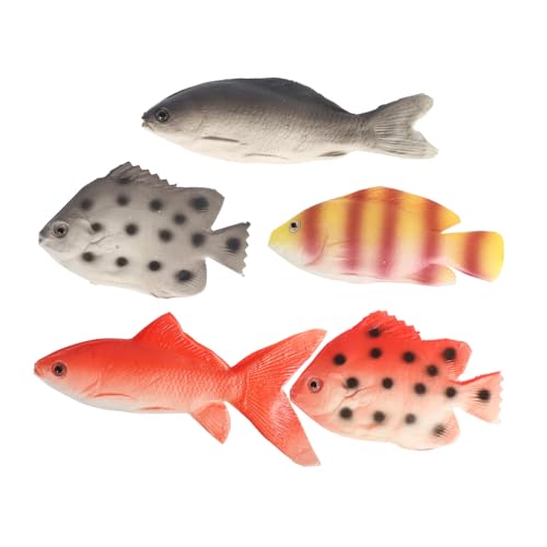 BESTOYARD 5 Stück Teiliges Künstlicher Fischmodelle Realistische Simulationstiere für Bildung und Dekoration für Lernressource der Meeresbiologie von BESTOYARD
